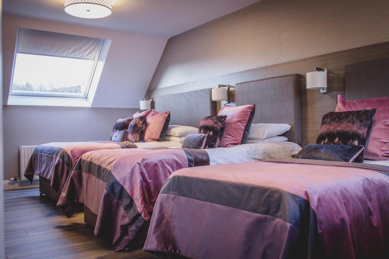 Barr Na Sraide Inn Dingle Bagian luar foto