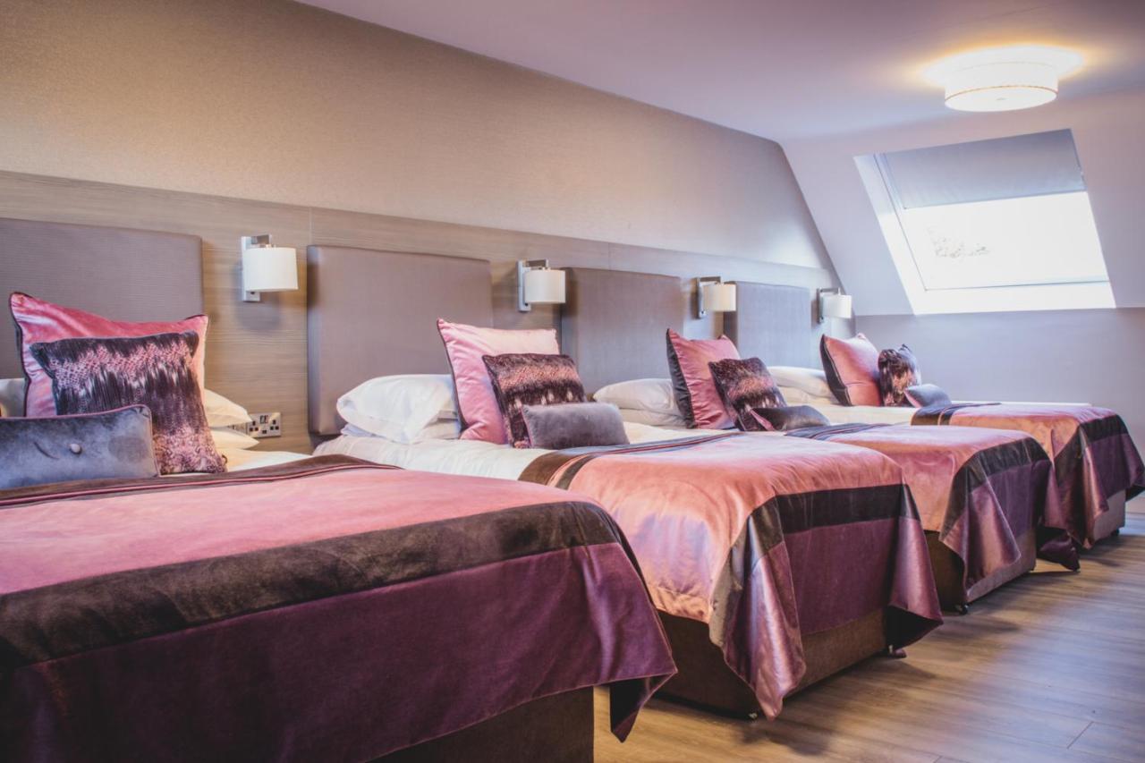 Barr Na Sraide Inn Dingle Bagian luar foto